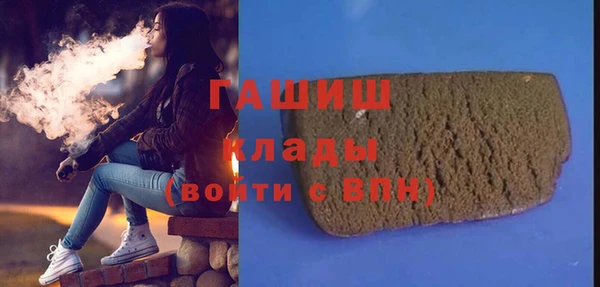 гидра Бородино