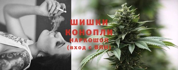 гидра Бородино