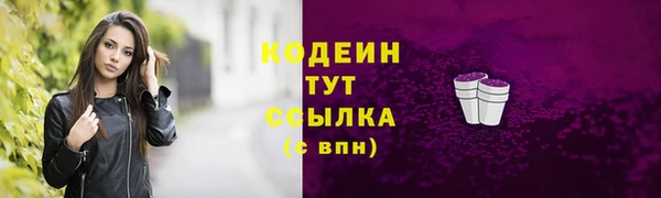 гидра Бородино