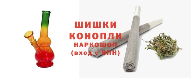 гидра Бородино