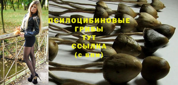 гидра Бородино