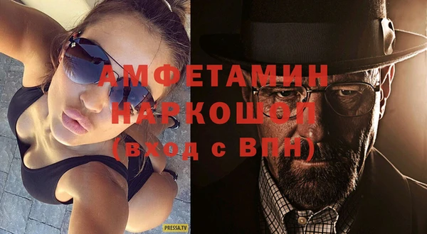 гидра Бородино