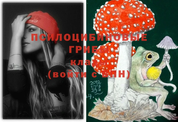 гидра Бородино